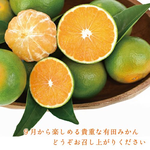 9月が旬の新品種ゆらのさきがけ（YN26）ミニ5kg｜早和果樹園