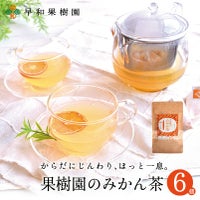 果樹園のみかん茶7包入×6個セット