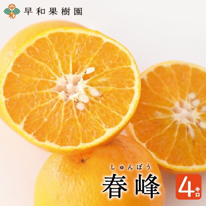 000000000270-01.jpg?size=l&w=