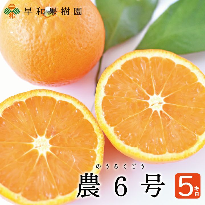 くるみかん6冊 000000000272-01.jpg?size=l&w=