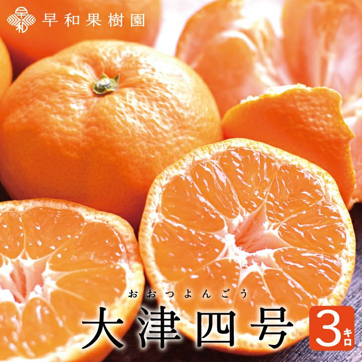 激安大安売りジューシー甘い大津4号ミカン。20キロみかん在庫処分のためMから4L 甘い晩生みかんなら大津4号5kg｜和歌山有田の早和果樹園