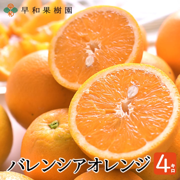 メニュー